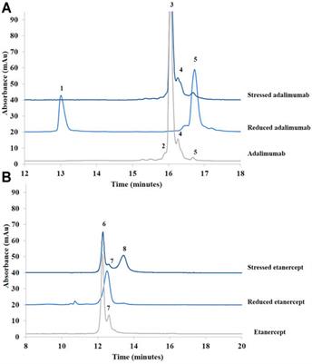 Comparison of Three Complementary Analytical Techniques for the Evaluation of the Biosimilar Comparability of a Monoclonal Antibody and an Fc-Fusion Protein